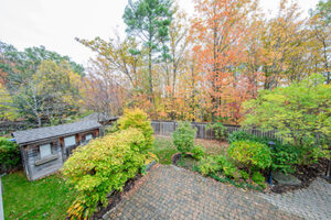 An aerial view of the yard of a client of a tree company in Smithville in the fall